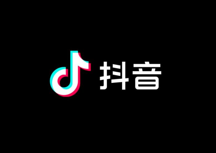 抖音是什么公司